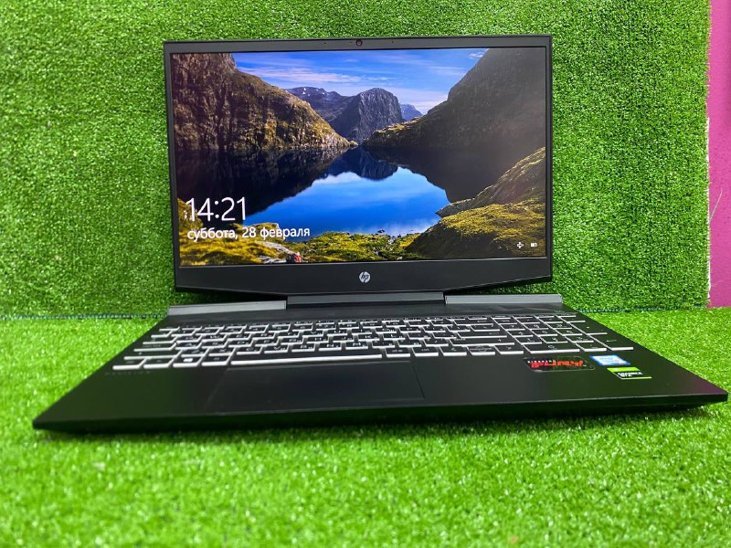 HP Pavilion Gaming 15 9560NGW